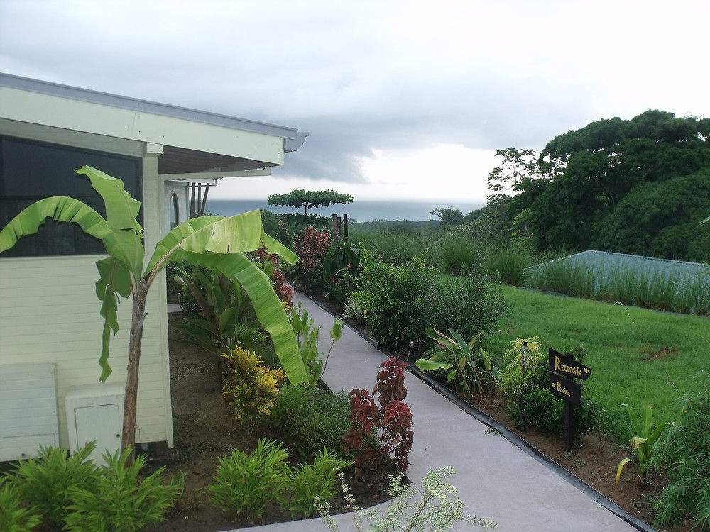 Eden Tica Lodge Uvita Dış mekan fotoğraf