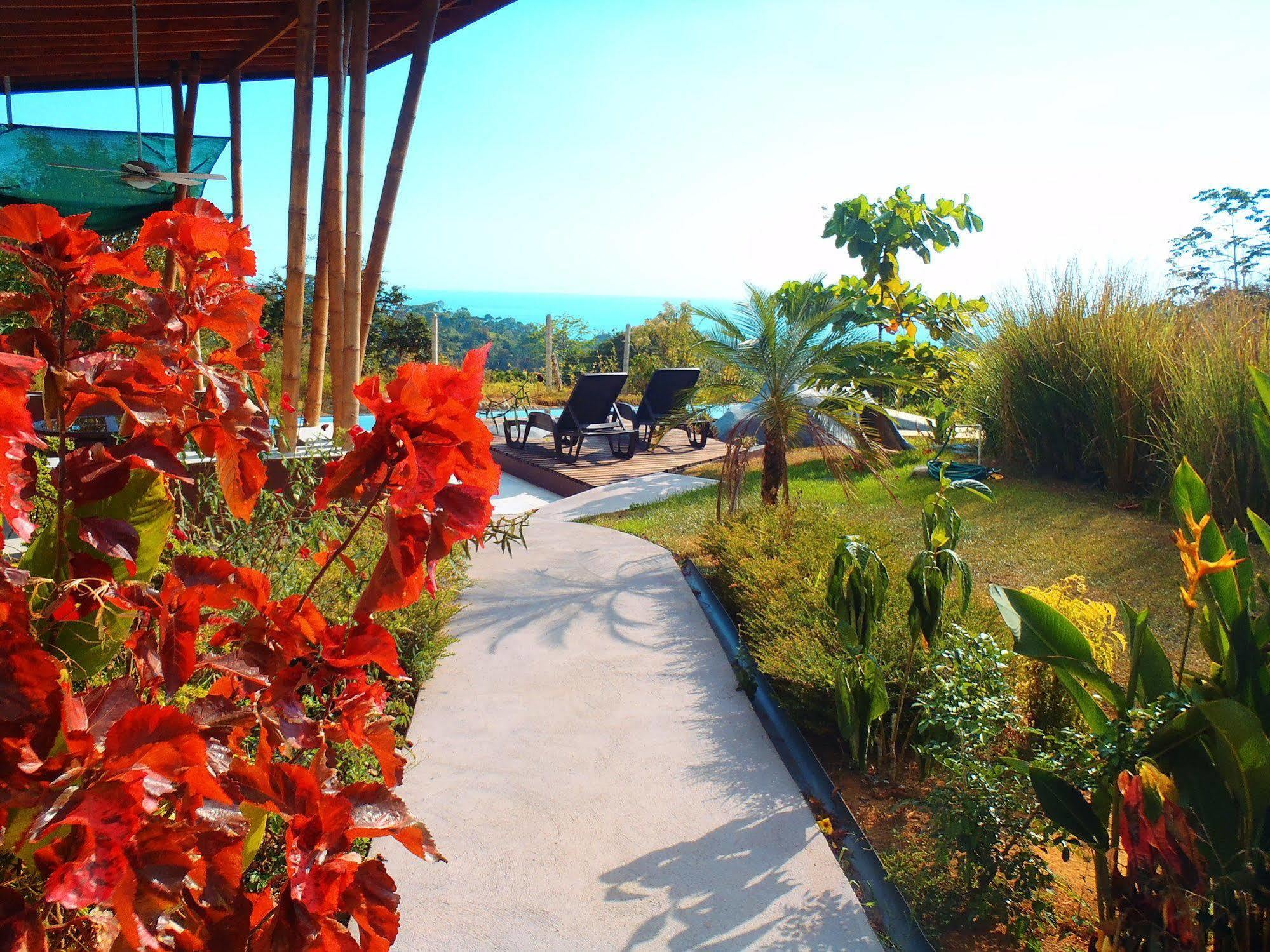 Eden Tica Lodge Uvita Dış mekan fotoğraf