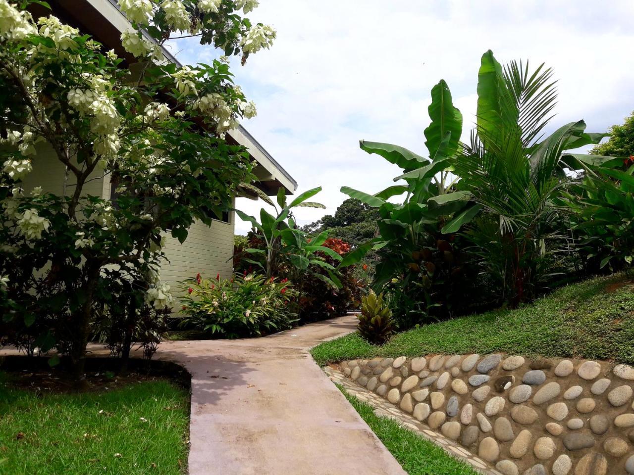 Eden Tica Lodge Uvita Dış mekan fotoğraf