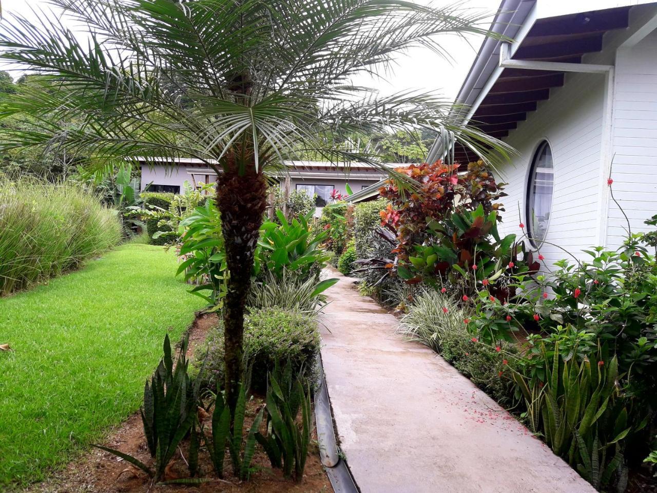 Eden Tica Lodge Uvita Dış mekan fotoğraf
