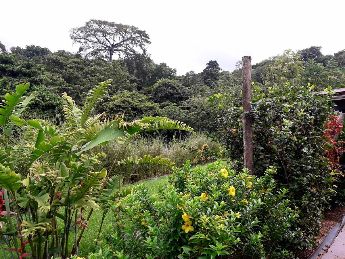 Eden Tica Lodge Uvita Dış mekan fotoğraf