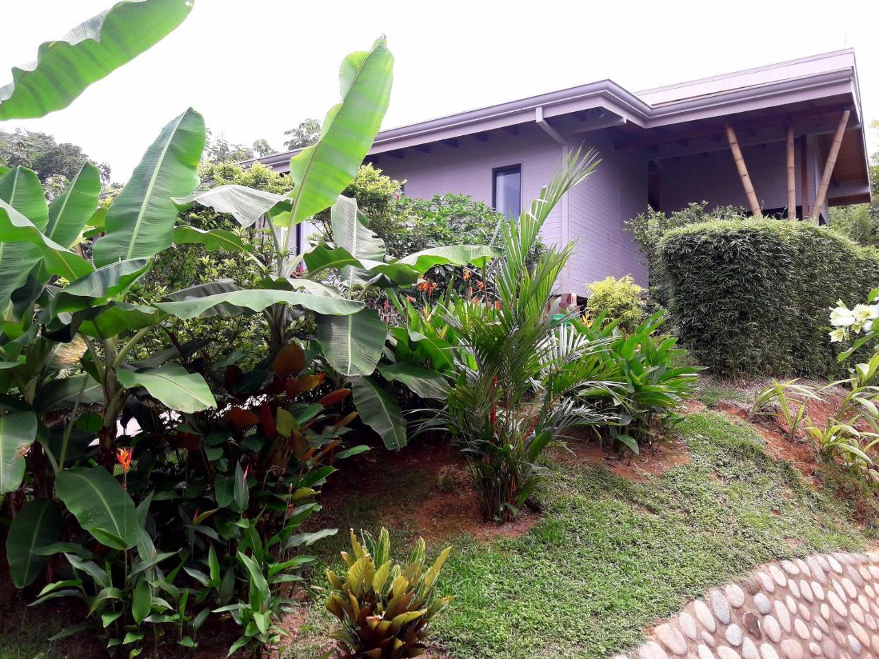 Eden Tica Lodge Uvita Dış mekan fotoğraf