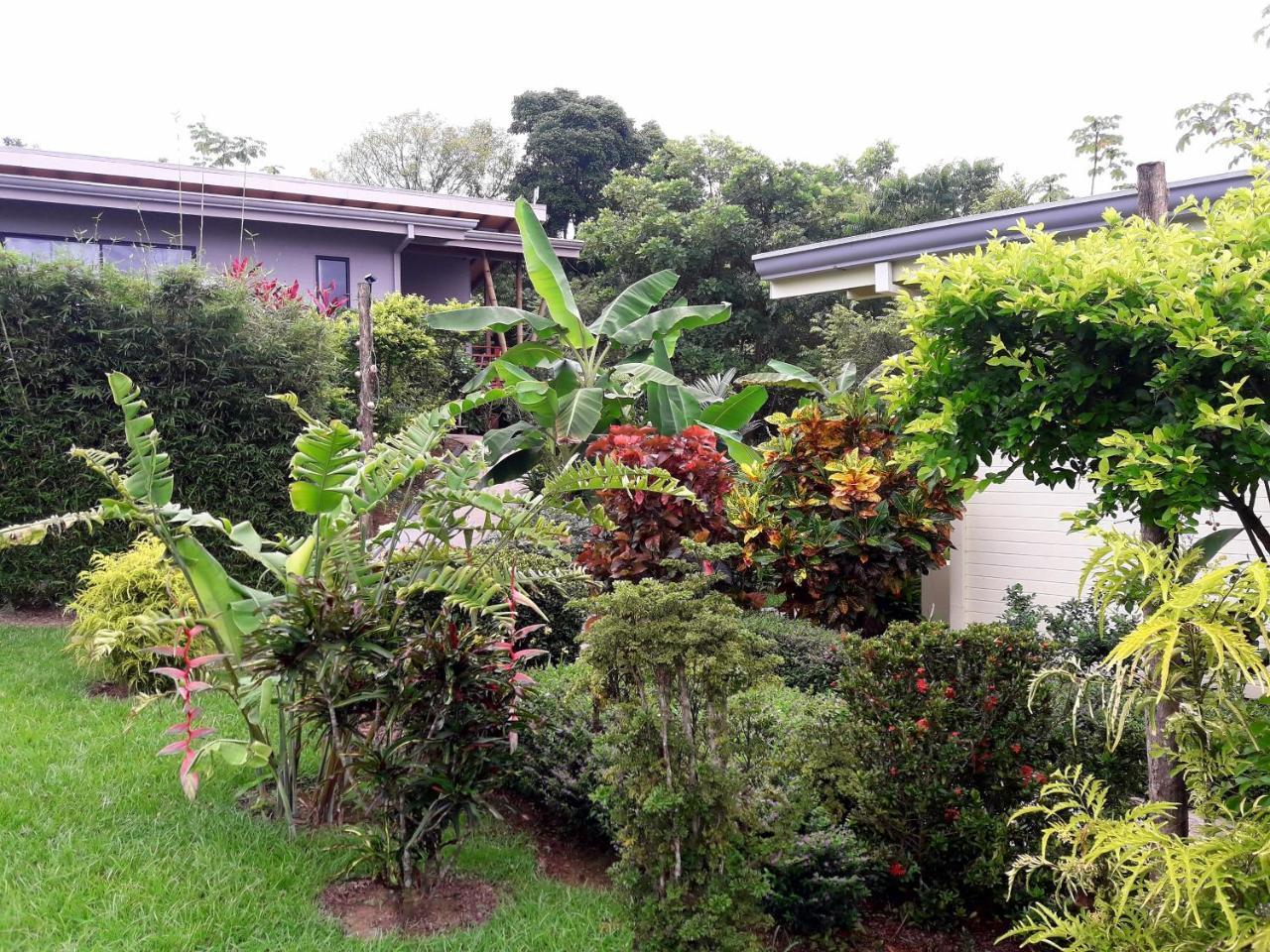 Eden Tica Lodge Uvita Dış mekan fotoğraf